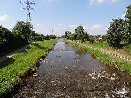 Gterbahnbrcke Dreisam: Westblick