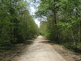 Hochdorfer Wald