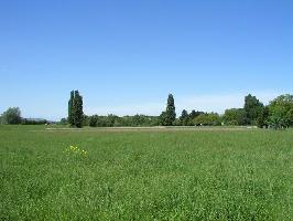 Im Zinklern Freiburg: Blick Dreisamdamm