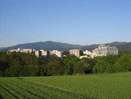 Lehener Bergle: Blick Landwasser