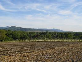 Lehener Bergle: Blick Sender Freibrug Lehen