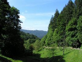 Musbachtal bei Freiburg