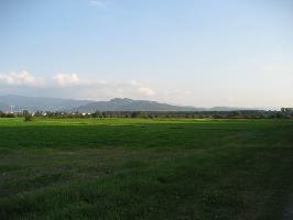 Naturschutzgebiet Freiburger Rieselfeld: Blick Schnberg