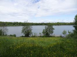 Opfinger See: stlicher Seeweg Blick Westblick