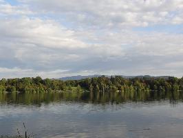 Opfinger See: Blick Schauinsland