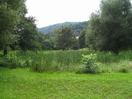 P�dagogische Hochschule Freiburg: Teich
