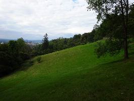 Kommandantengarten Freiburg: Wiese