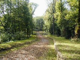 Schlossberg Freiburg » Bild 75