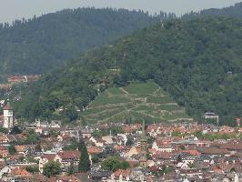 Weinlage Schlossberg Freiburg