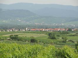 Schneckenberg: Blick Tiengen