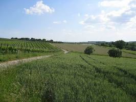 Schnberg im Tuniberg