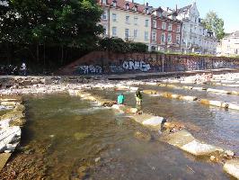 Wasserliebhaber Fischtreppe Schwabentorbrcke Freiburg