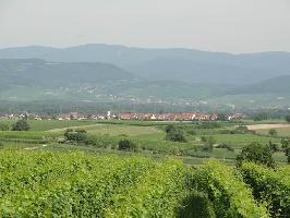 Schwarzkehlchenpfad