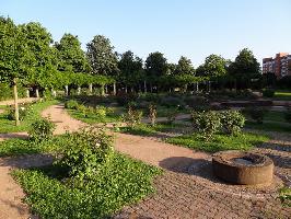 Rosengarten Seepark Freiburg