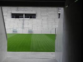 Stadion Sport-Club Freiburg: Naturrasen