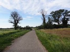 Sport vor Ort Rieselfeld: Nordblick Dietenbachniederung