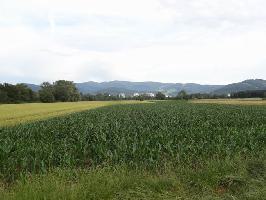 Zum Tiergehege Freiburg: Blick Stadtteil Weingarten