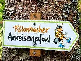 Ameisenpfad Rötenbach im Hochschwarzwald
