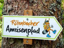 Ameisenpfad Rtenbach im Hochschwarzwald