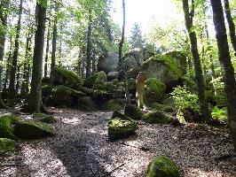 Gnterfelsen Furtwangen