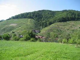Gasthaus Pension Eichberg Glottertal