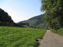 S�dansicht  Scharbachhof in Glottertal: