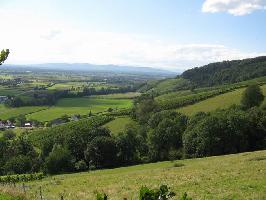 Schlossb�hl Glottertal: Blick Denzlingen