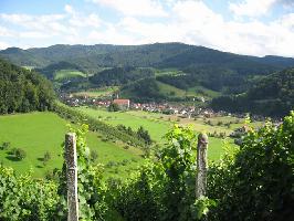 Schlossdobel Glottertal: Blick Blasiuskirche Glottertal