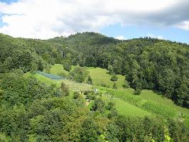 Schlossdobel Glottertal