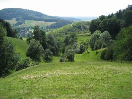 Schlossdobel Glottertal: Ostansicht