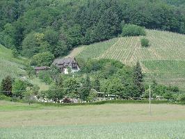 Bild H�nningerg�tle Glottertal