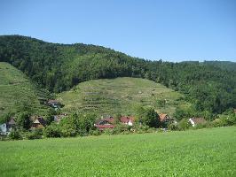 Weinlage Roter Bur: Reben im Osten