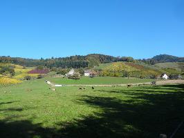 Wisserhof Glottertal