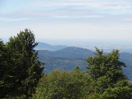 Gummenwald Kandel: Blick Rosskopf