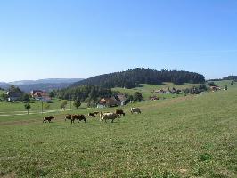 Schwarzwald » Bild 109