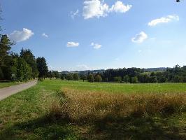 Schlchtsee Grafenhausen: Ausblick Parkplatz