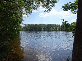 Schlchtsee Grafenhausen: Sdufer