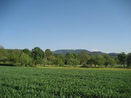 Grner Weg: Blick Rosskopf