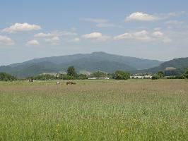 Reitanlage Gundelfingen: Blick Kandel