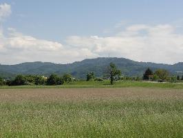 Reitanlage Gundelfingen: Blick Rosskopf