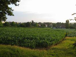 Unterer Pelzackerweg: Blick Waldstrae