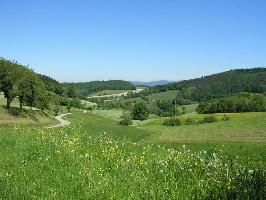 Waldbrunnertal Wildtal