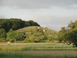 Wildtalstrae Bahnbrcke: Blick Rebberg