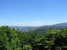 Zhringer Burg: Blick Einbollen