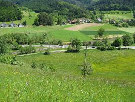 Beim Lwen Gutach: Bahnbergang B33 Schwarzwaldbahn