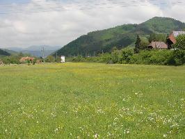 Ramsbachweg Gutach: Nordblick