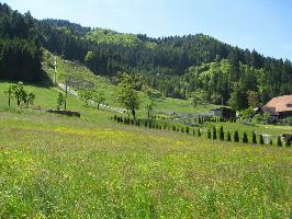 Rodelbahn Gutach: Landschaft