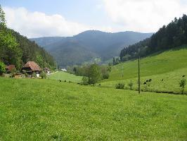 Steinenbachtal