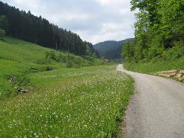 Oberes Steinenbachtal