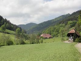 Unteres Steinenbachtal